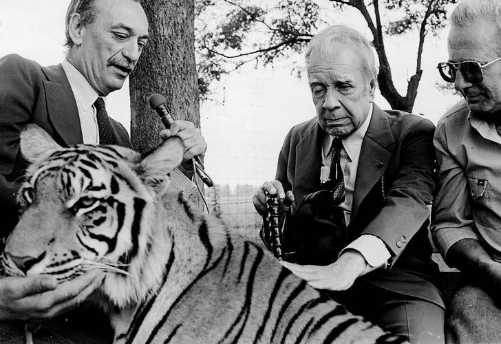 borges tigre