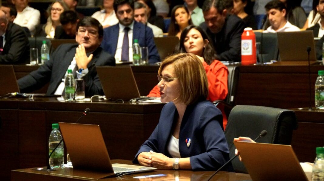 diputada Suzel Vaider